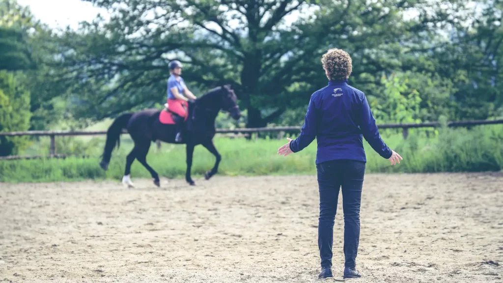 Métier Moniteur d'Équitation
